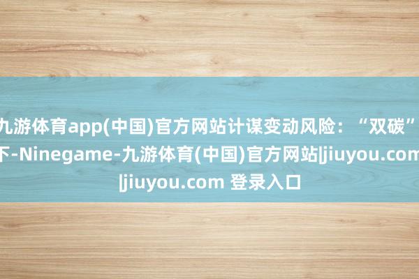 九游体育app(中国)官方网站计谋变动风险：“双碳” 观点推动下-Ninegame-九游体育(中国)官方网站|jiuyou.com 登录入口